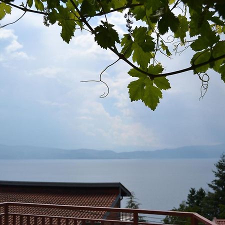 Villa Fania Ohrid Luaran gambar
